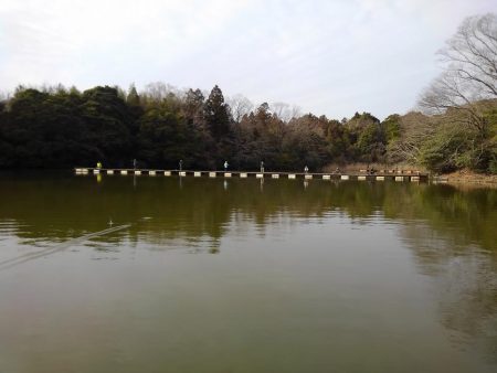 大安トラウトレイク 釣果